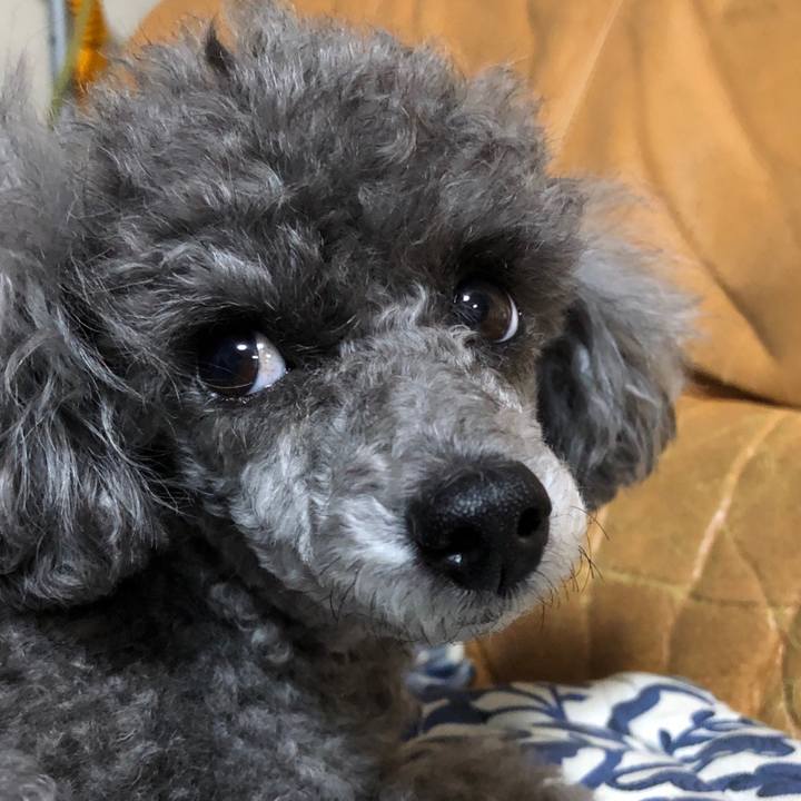 8de90d07 82b8 4716 a5a4 776de3ed8d60 1556107680942