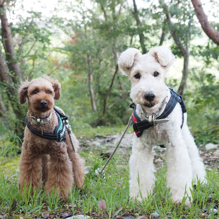 8de92424 551e 4c1f 9908 a4897e4cce5b 1604751399036