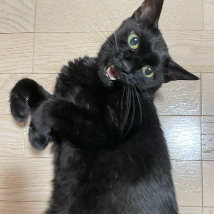 8de92ed3 abe1 4aaf 94b7 078df3d5b5a4 1720096146923