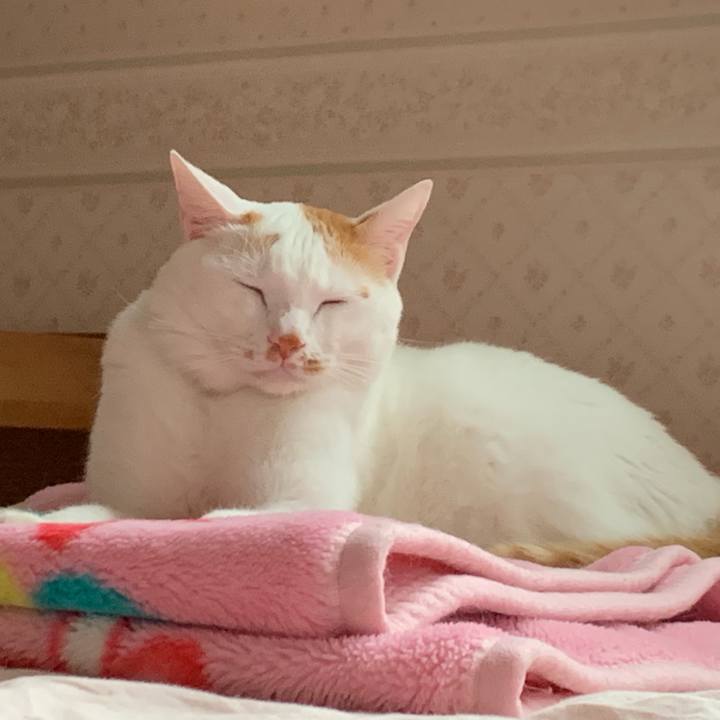 8de932ba 6e8c 40fc 853f 1ffbd768ca66 1569049361206