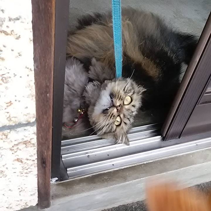 8de95639 01a5 4cd6 be8e e375915ef447 1621329288868