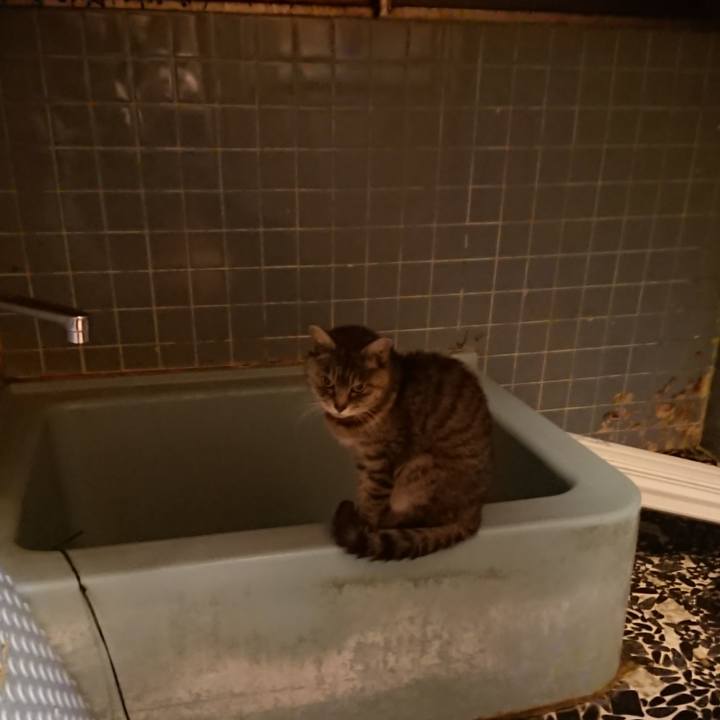 8de97596 15b5 4f37 a834 849759895ce2 1581070334693