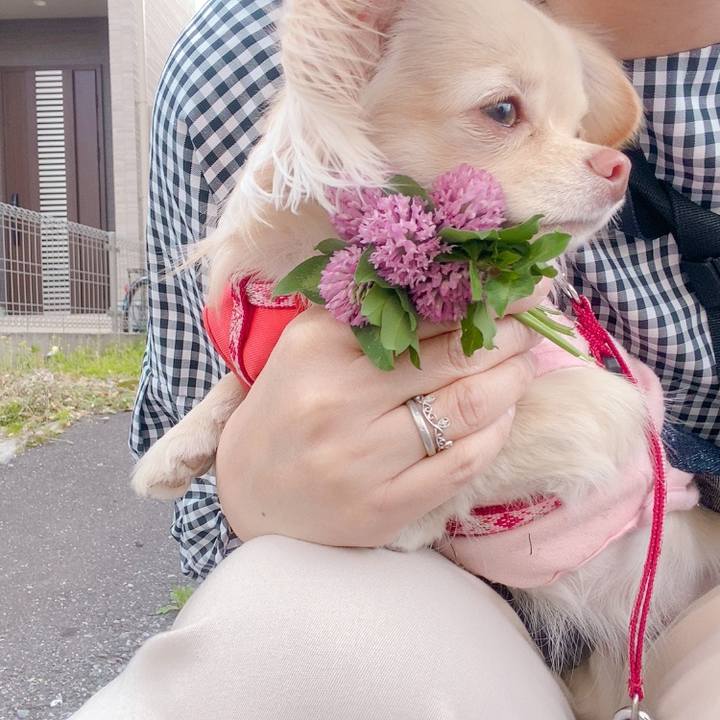 8de99f0e 6693 43f5 a9d0 0c5f3d5b66e2 1619080563375