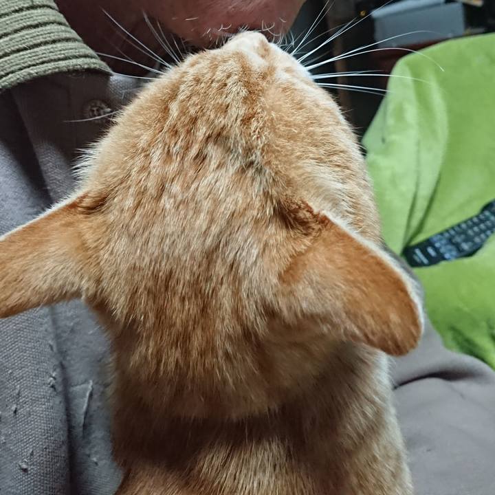 8de9a559 cf19 43f4 a3d8 001db98bf37c 1588881492789