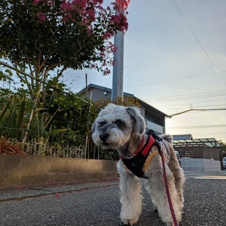 8de9c2fa 8e24 4f01 aeb4 8f99031fbccf 1753306036797