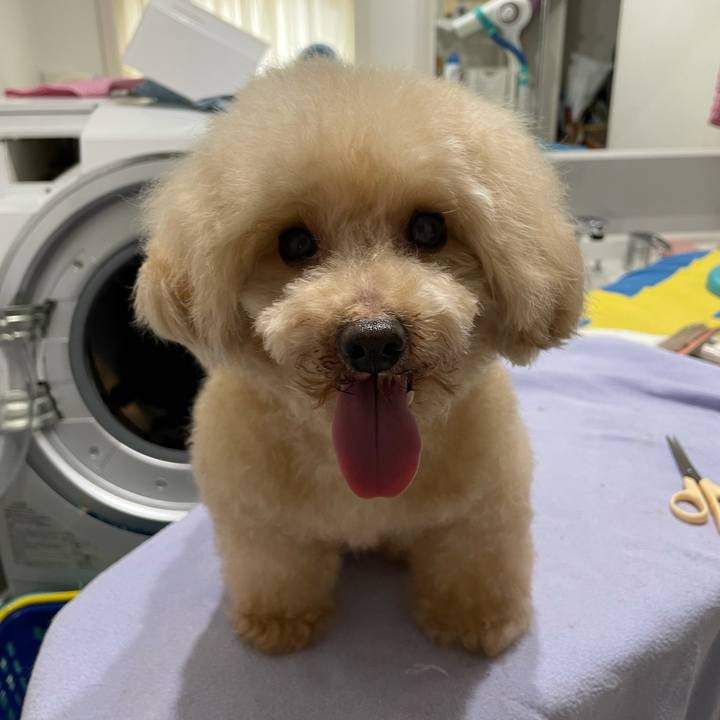 8de9dcbc cecf 429d bc98 6ec387812ced 1633831545406