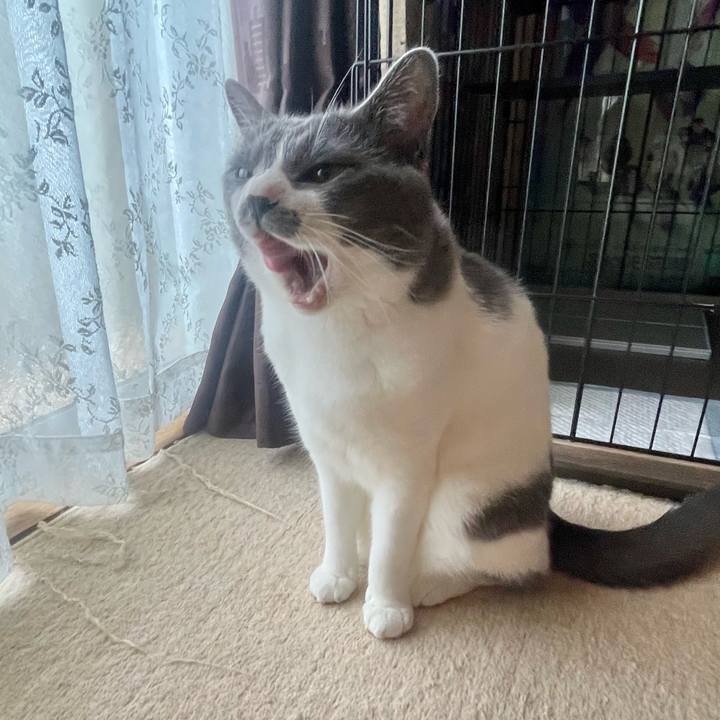 8de9edbf c056 4bdc 9103 9e686c29a6d8 1653259738359