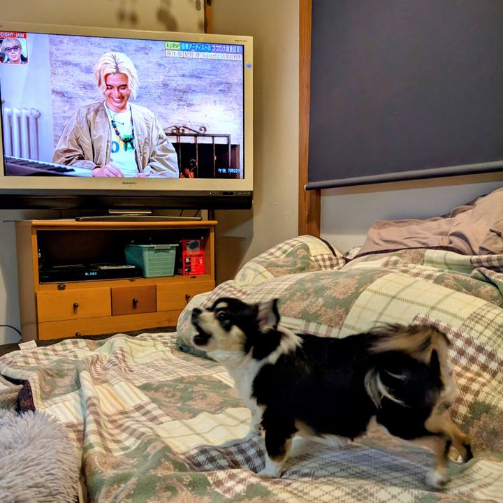 8dea0338 d64d 47a1 a462 43f407498002 1763469167401