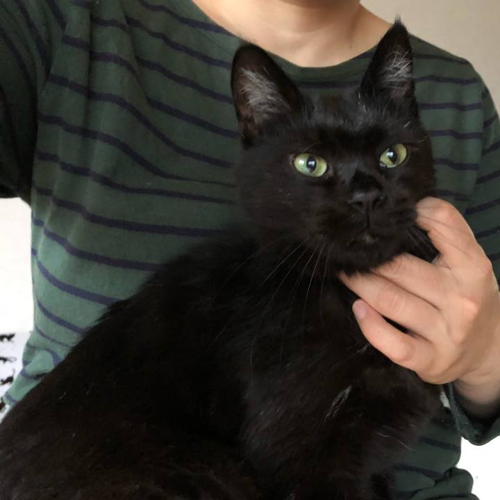 8dea2dfb 9ce8 421e 979d 5f5123164da8 1561975276775