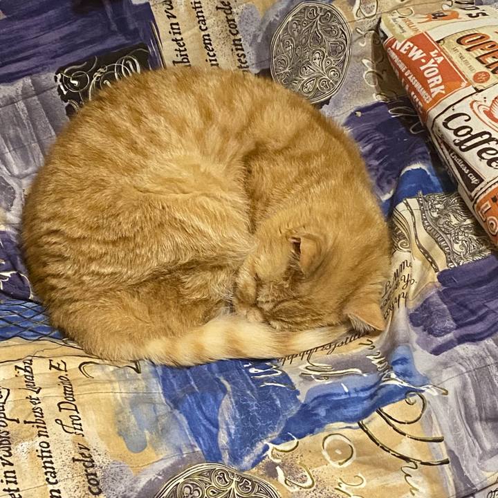 8dea5401 2d85 4a89 989b 19bf3f8343ee 1644958058120