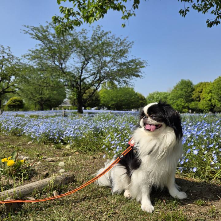 8dea5447 9bef 4b34 9a80 ba567b8329cb 1745645724302