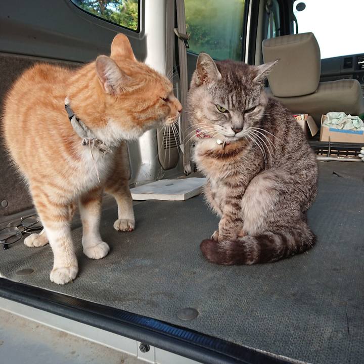 8dea5c3f ae1b 400e b757 6b0e8db5f952 1592685210292