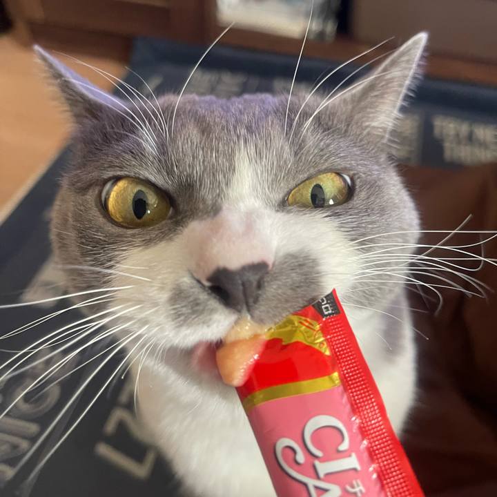 8dea88c4 33ed 4864 a526 a4fd0ab4b798 1704782013845