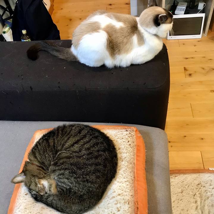 8dea94a3 a1b1 4b37 b4e5 807f1183d881 1612877889626