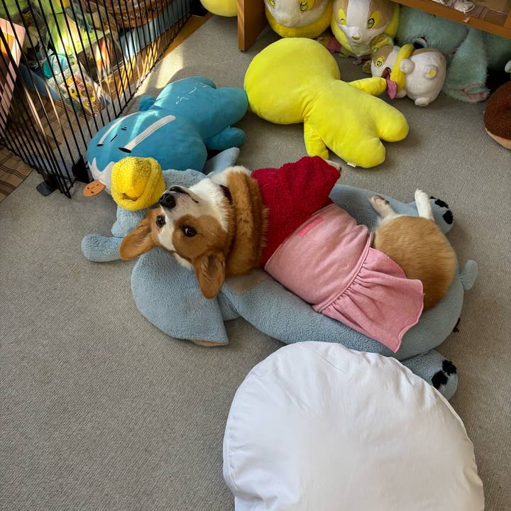 8dea9f5c ad04 4031 bdd1 ec6d82ab65f0 1765937525219