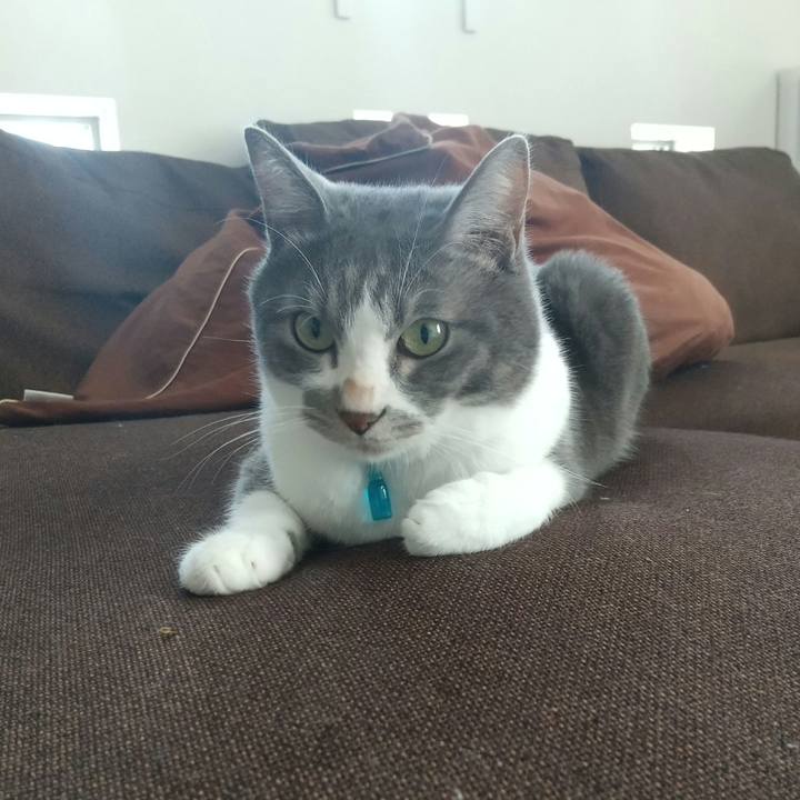 8deab106 f1ac 4ffd 8ddc 5121a98f944d 1633659386894