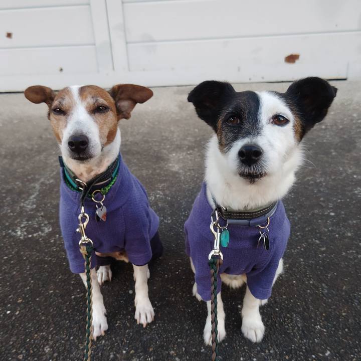 8deac203 2700 4a89 8ad3 33d15044dc6a 1762466477489