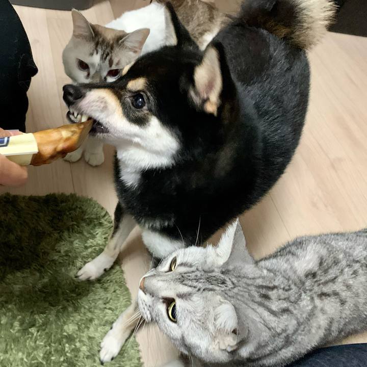 8deacb8f 741f 4bc4 8a25 bb5602b08932 1634441960277