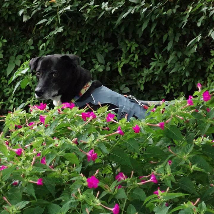 8dead171 463e 4db1 b418 e65ab6b937d4 1727052418597