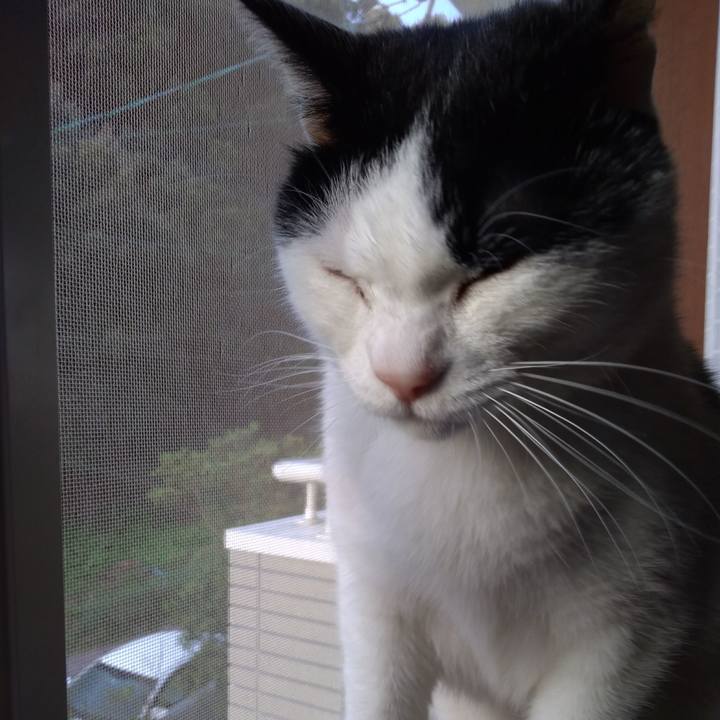 8deae092 106e 4619 ad22 b197cf6dbe05 1522755189200