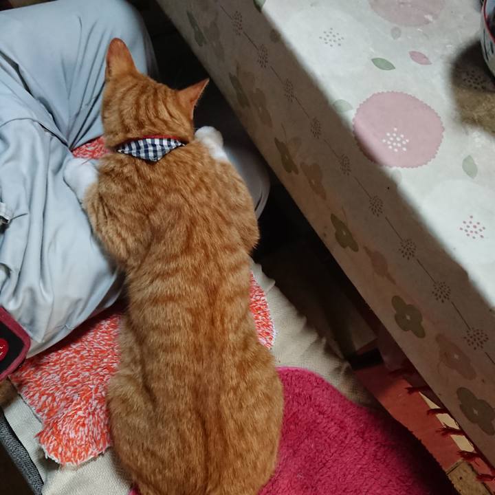 8deafd01 c296 49ee a9de 9a4ab60a8b73 1569805136818