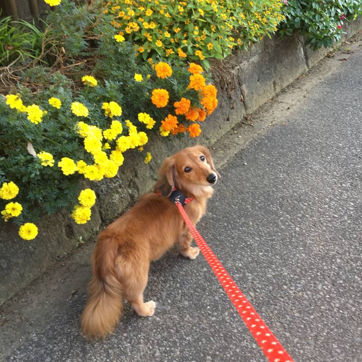 8deb369b 172b 4446 9d09 d52d02476275 1603713846494