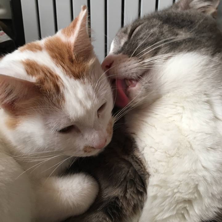 8deb692c 4b5e 46c0 b376 3d230410a127 1542928038864