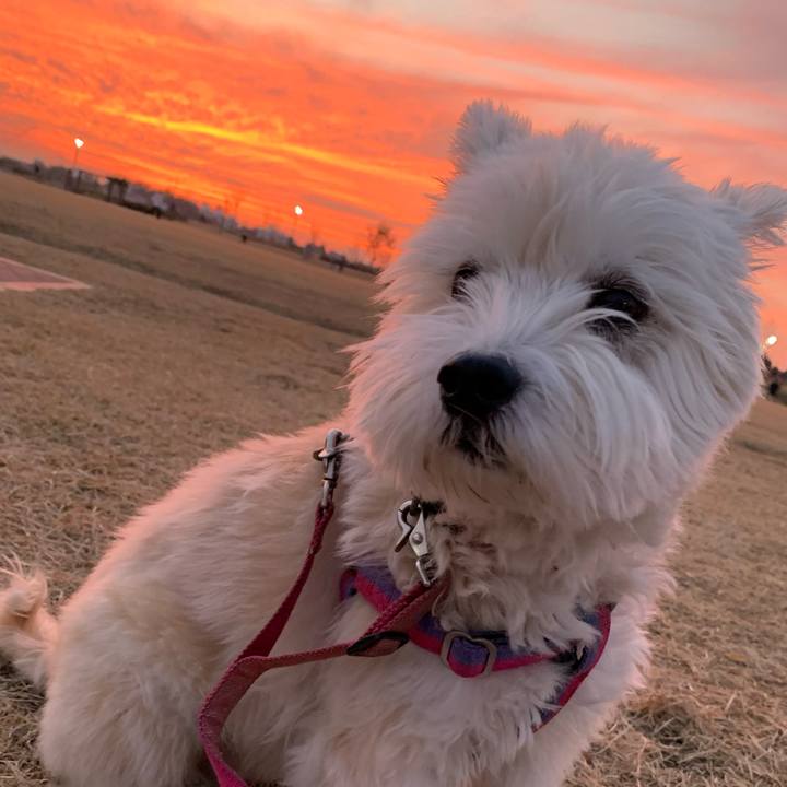 8deb9fba 3b23 4b5c a5f9 bc51fb778056 1637311946171