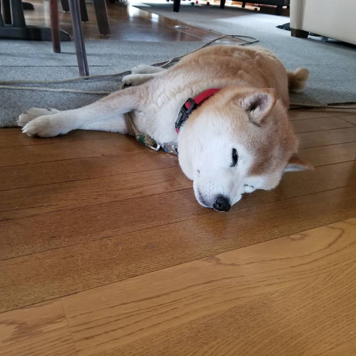 8debab2d 4c28 4568 b489 39138885af2c 1719011680585