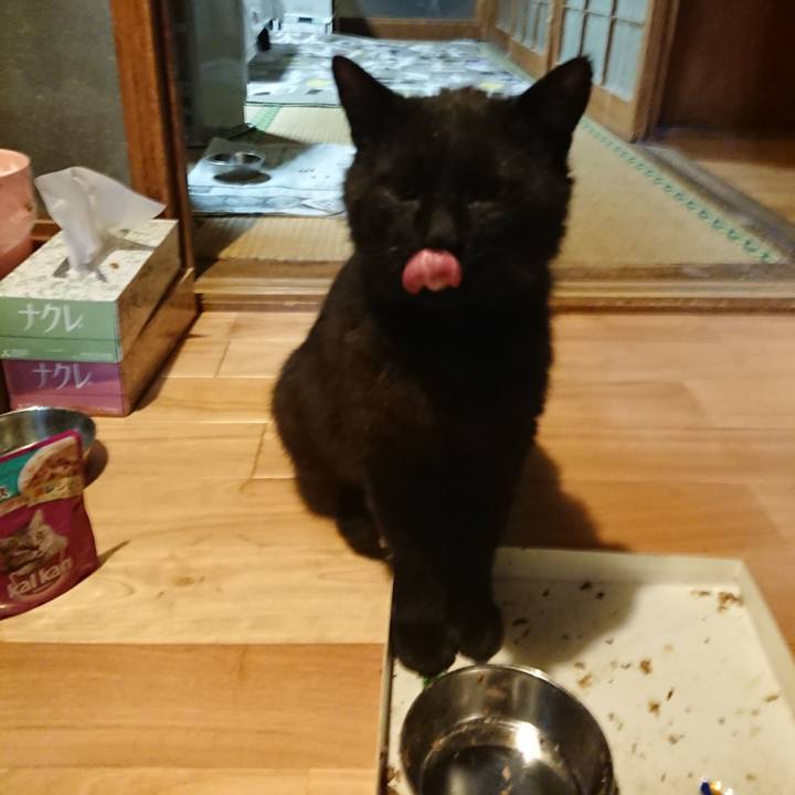 8debe088 54cb 4014 8f9d 50b95bda23b9 1622985916476