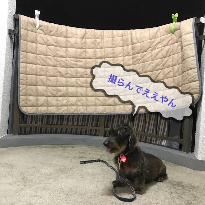 8debe269 96ca 46c2 a4ef 220408622589 1539096514349