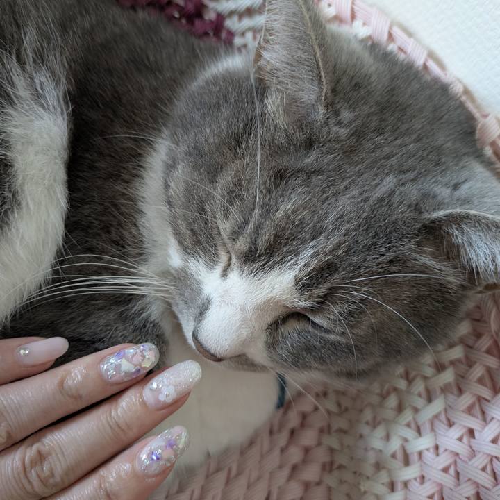 8debfe8c 80a3 4fae b8cf 91969bd2c4fb 1755314148946