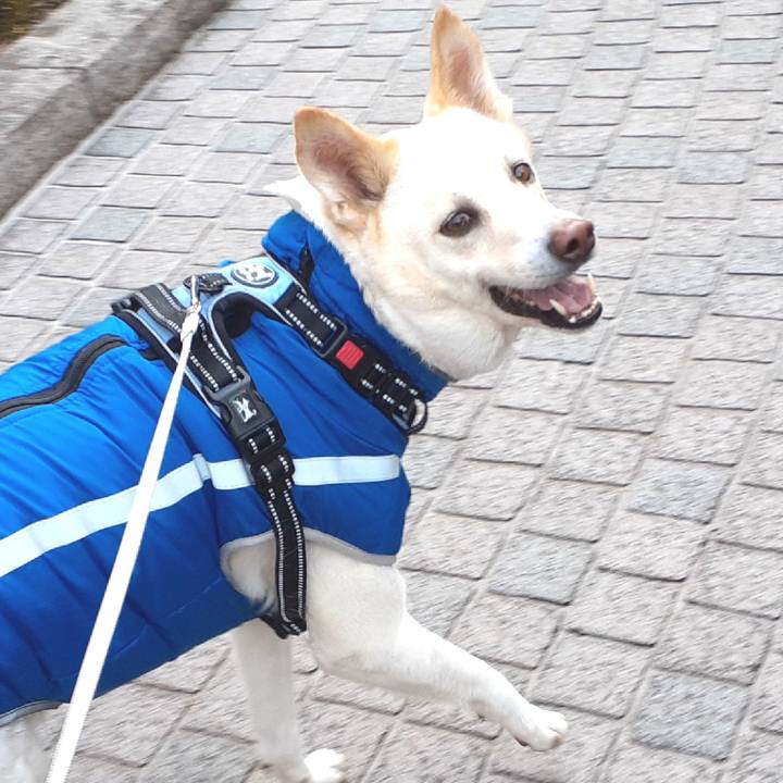 8dec1b78 5a19 4e76 8d2f 74a526ae59d8 1645922893990