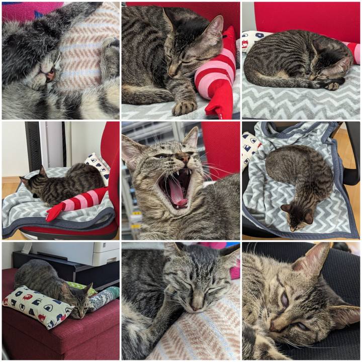 8dec29e0 cbb3 4035 a62c 6d0e16c72014 1710475901769