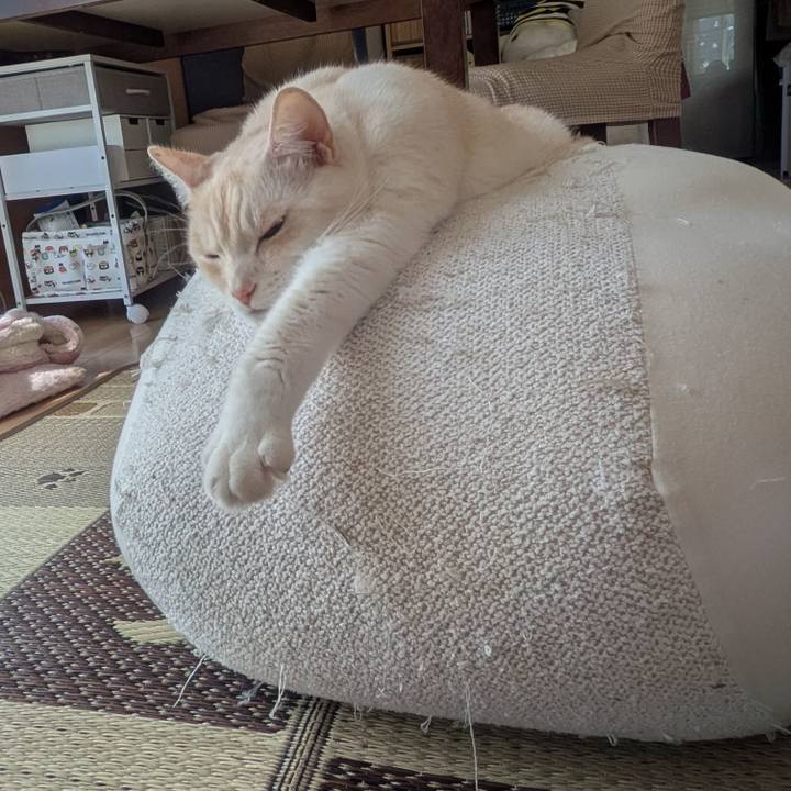 8dec2fc4 f617 4a30 9204 68e790e1c8f2 1753402133981