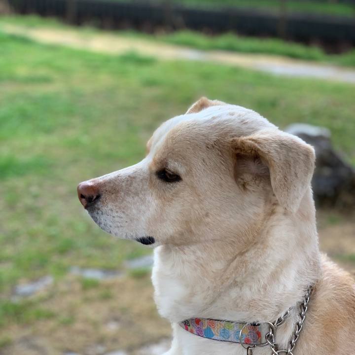 8dec5efc 1476 41f7 8573 d59af4a4909c 1553167133697