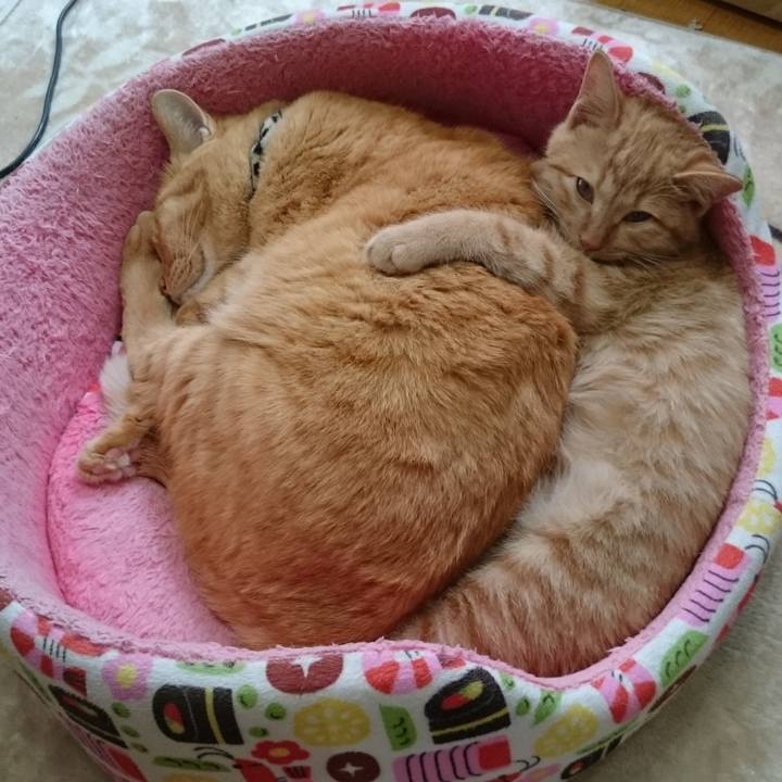 8decbf90 2283 4040 8e91 6bf10fdd7117 1731814968392