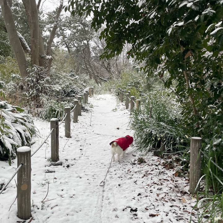 8decc668 6d6d 4def a2b0 47860b69a0f3 1709422106167