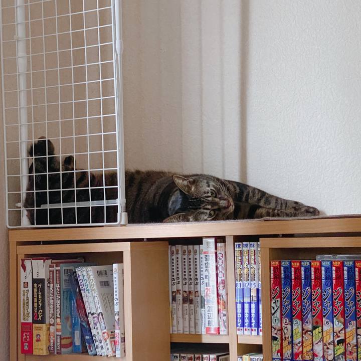 8decf59f 8d1d 4c0a 9f39 05d0d0477e3c 1597728998056