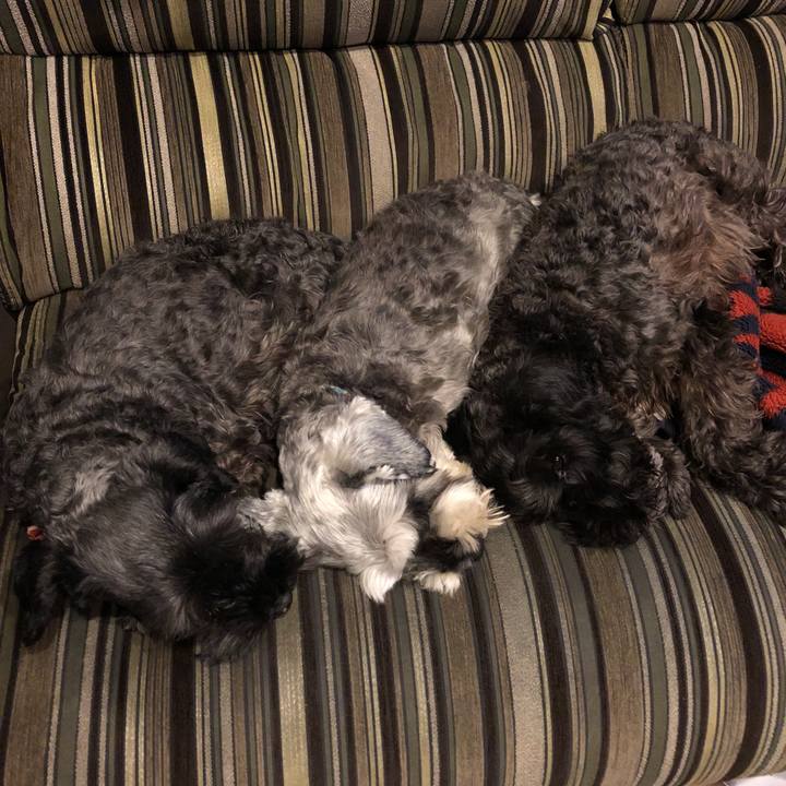 8decfcf8 c5a0 40ff 84a8 44df3442658f 1542114982795