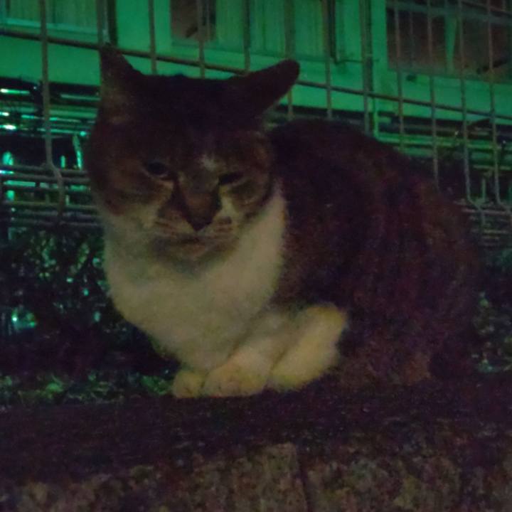 8ded1b58 53dd 4685 aa3c d79eeb1b69a0 1638063179594