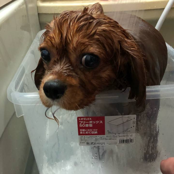 8ded882b d935 4dc9 bccd 3ef4b5627259 1552189237010