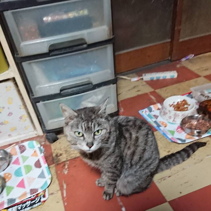 8dedd606 5311 4f7e 81f2 badfd0a0b02c 1588158380535