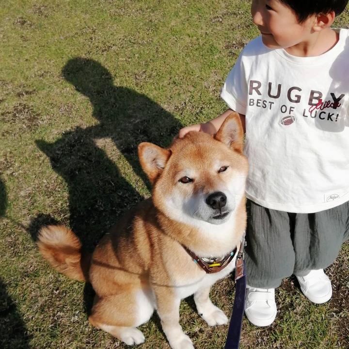 8dedfb6e 22b1 4bcd 9eee 1a4bafc6e340 1619784730739