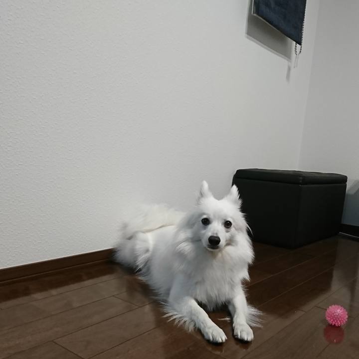 8dee042a d70a 4798 b733 0de4cf767820 1526995116118