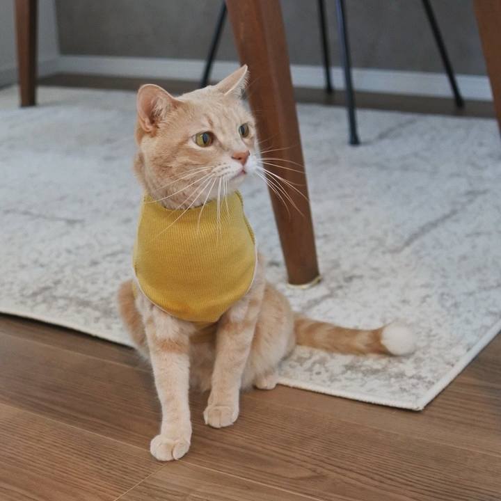 8dee4893 97d5 48a6 aced f49e3faedff1 1756302683284