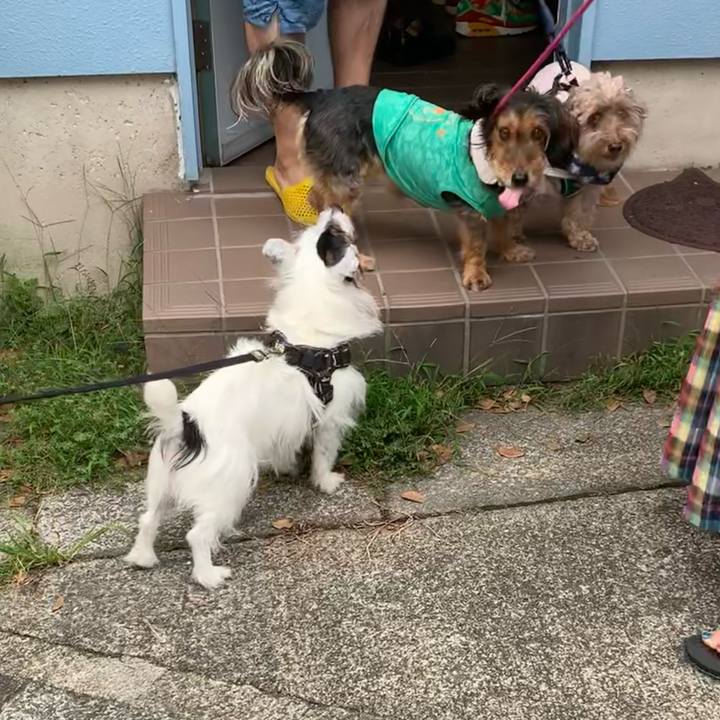 8dee51be 53ee 430c 9d38 93f23b98429b 1661469367828