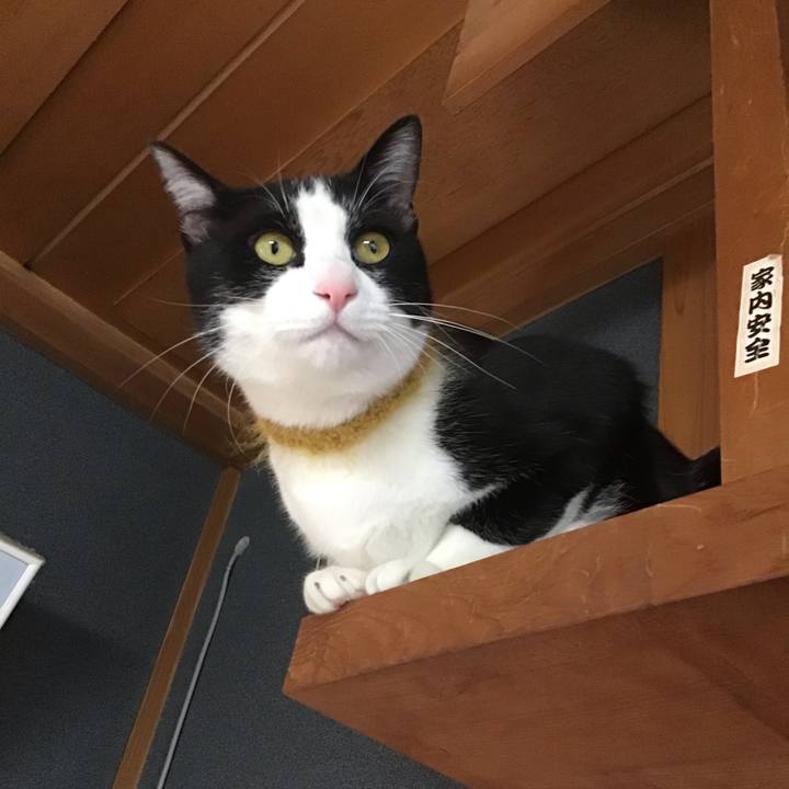 8dee82d9 99a9 42d5 8b46 fdd6f9a79b85 1649321292480