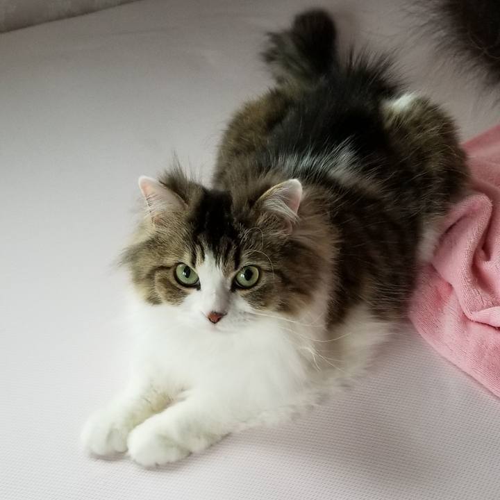 8dee9592 8000 4ddc 9be0 064952dbbf8c 1556482657239