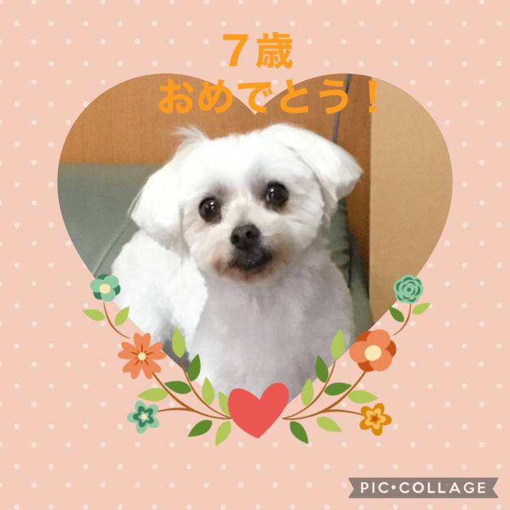 8deebadc d5a1 4368 a186 c8230f6e193c 1618555001545